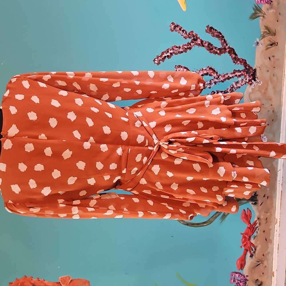 Forever 21 Long Sleeve Dress - Picture 4 of 7